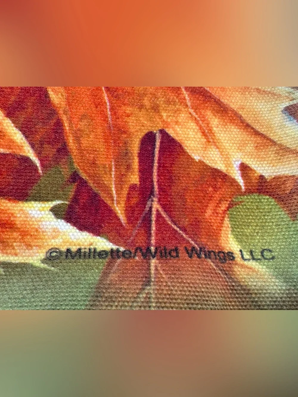 Danbury Mint Wild Wings Rosemary Millette Bird Pillow Covers Set 2 Canvas Art